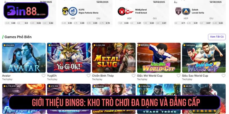 Giới Thiệu BIN88 - Thông Tin Nhà Cái, Sản Phẩm & Chính Sách Các nhóm trò chơi tại BIN88